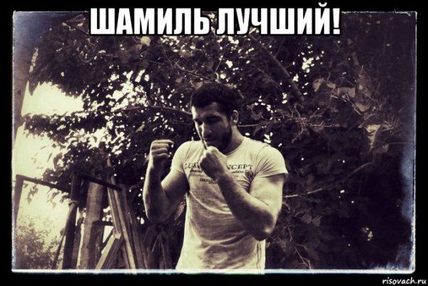Шамиль лучший
