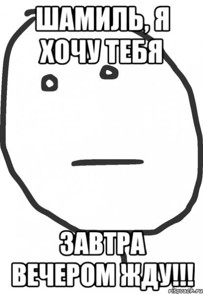 Шамиль прикол