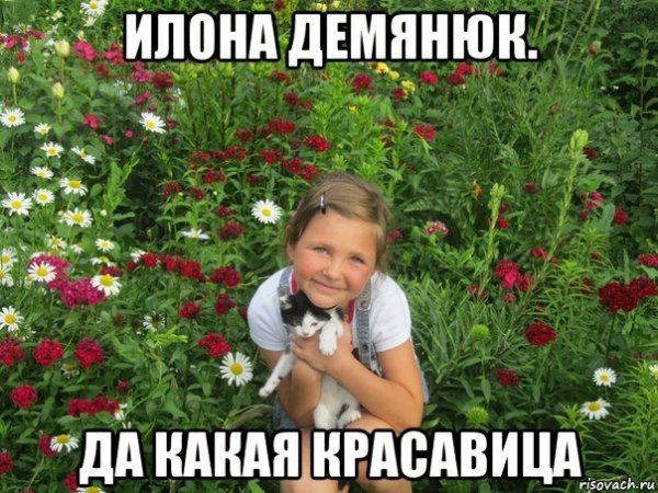 Мемы про Илону