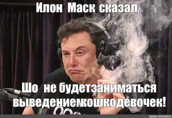 Not Bad Мем Илон Маск