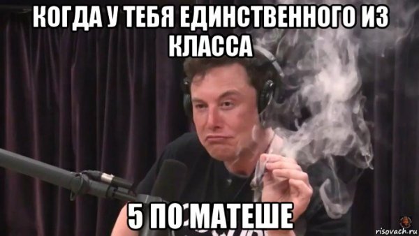 Смешные мемы про Илону