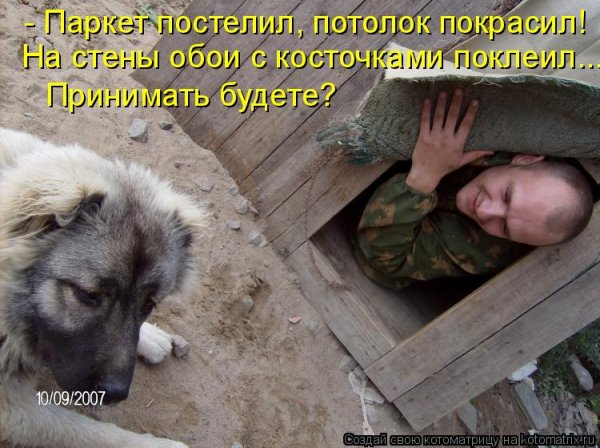 У меня есть собака