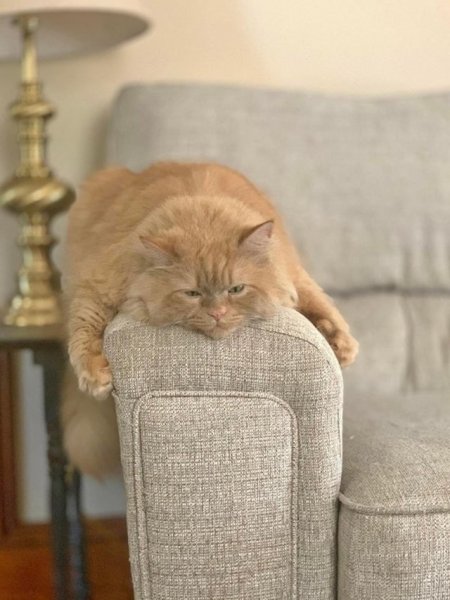 Уютненько прикол