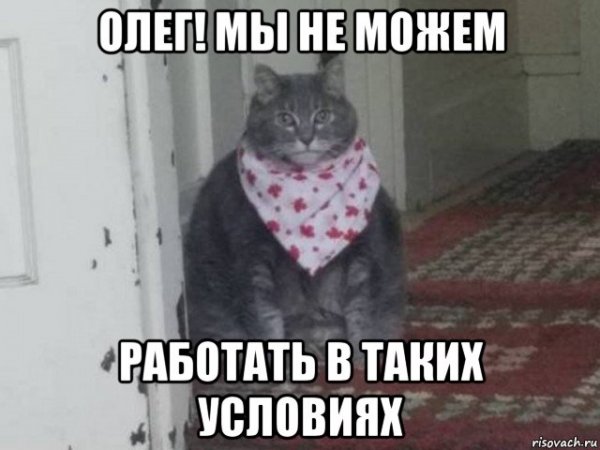 Толстый кот с платком