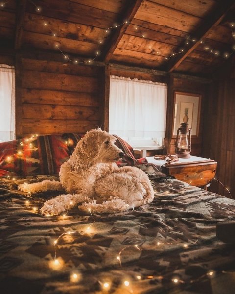 Сыроватенько уютненько прелестненько