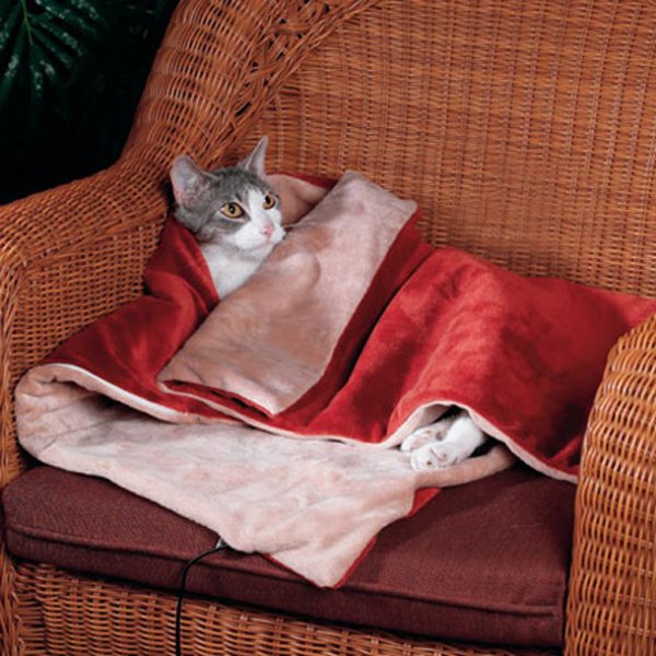 Плед с кошками