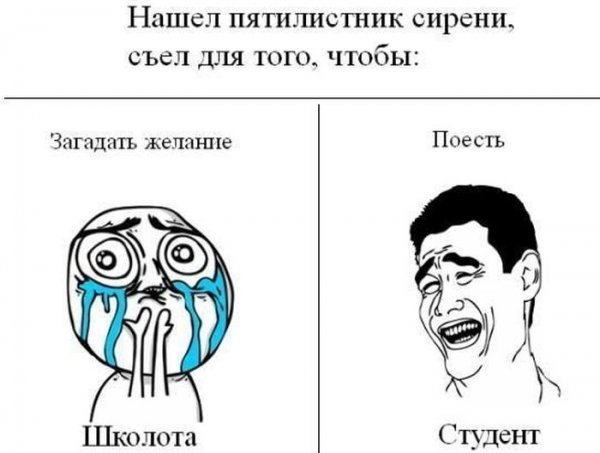 Смешные мемы