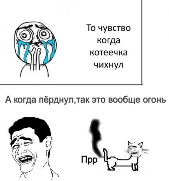 Самый смешной Мем