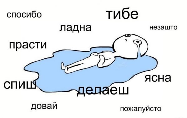 Шутки про грамотность