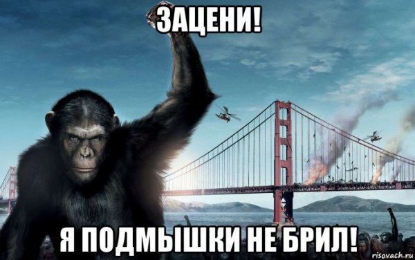 Ушел в поисках счастья Мем
