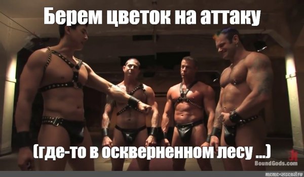 Gachimuchi братство кулаки