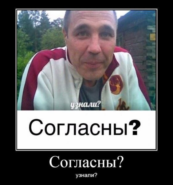 Узнали согласны Соколов