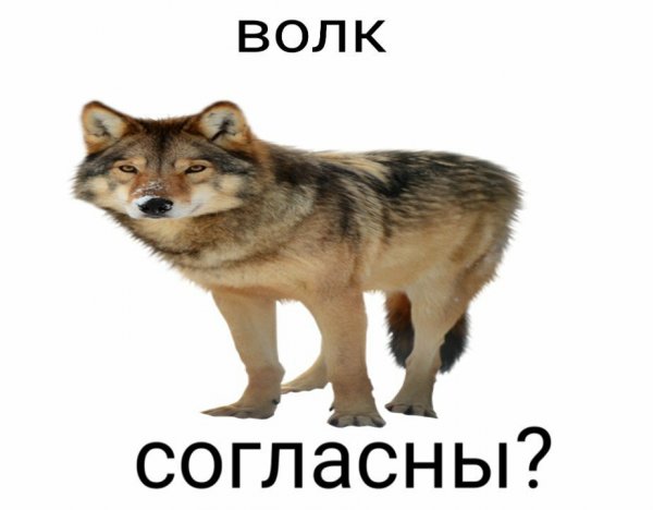 Согласен Мем