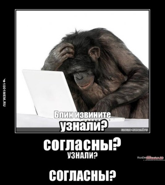 Блин извините обезьяна Мем