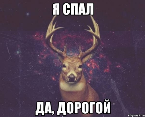 Олень Мем