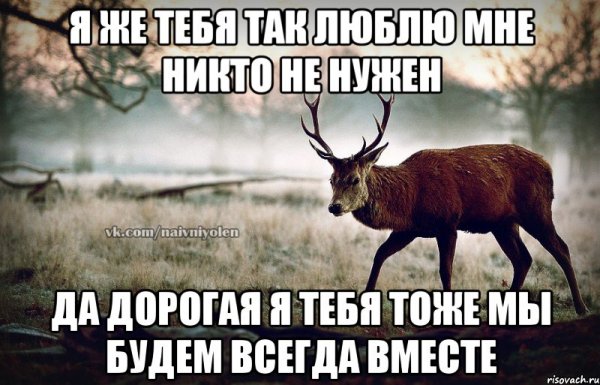 Наивный олень мемы
