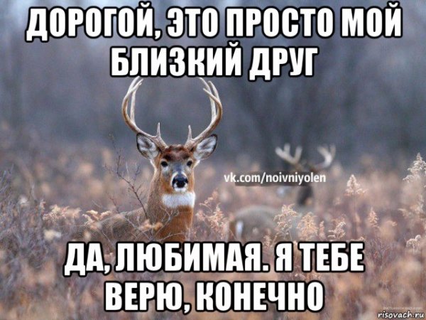 Олень я тебе верю