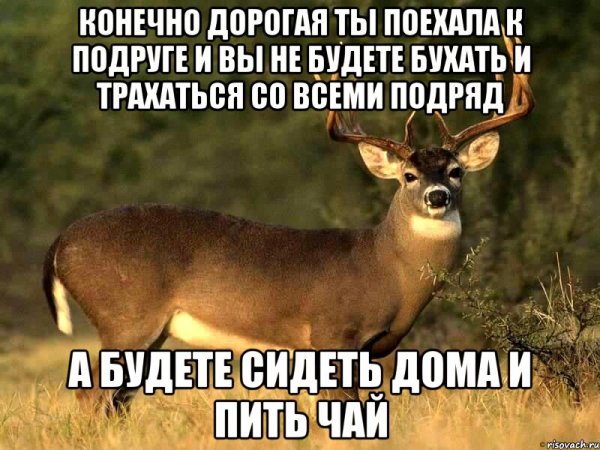 Со всеми подряд