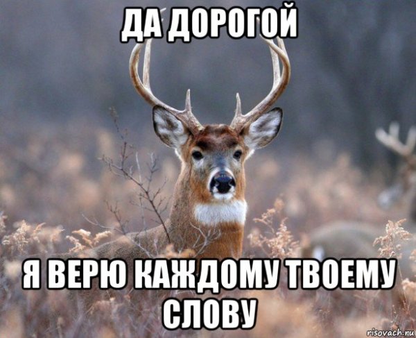 Дорогой я у подруги