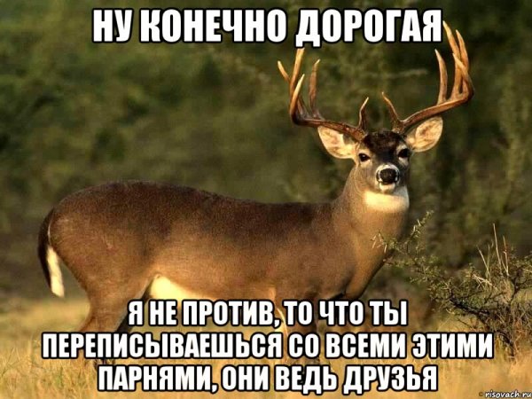 Олень Мем