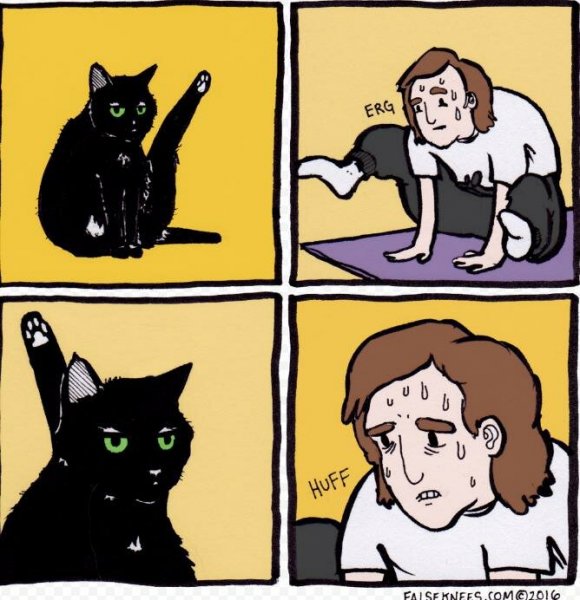 Комикс про кота