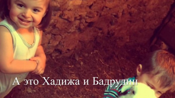 Кот Хадижа