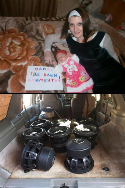 Где наши алименты