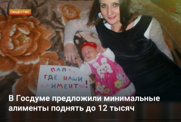 Где наши алименты