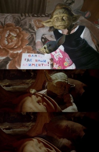 Где наши алименты