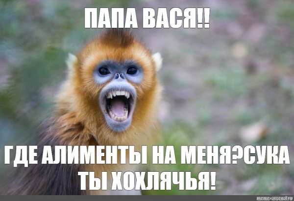 Где алименты прикол