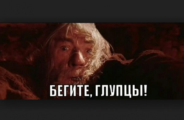 Гэндальф серый бегите глупцы