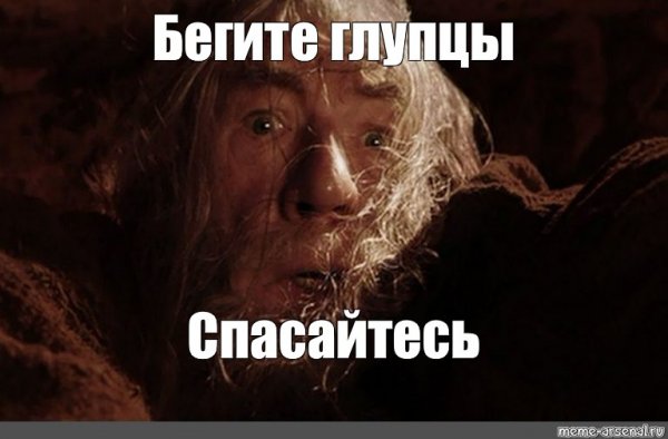 Властелин колец бегите глупцы