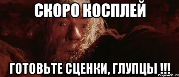 Бегите отсюда глупцы