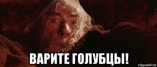 Мем Гендальф бегите глупцы
