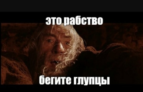 Гэндальф глупцы