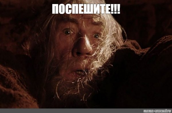 Властелин колец бегите глупцы