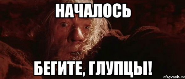 Беги глупец Мем
