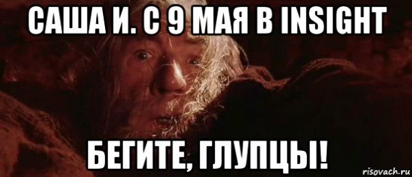 Бегите глупцы гифка