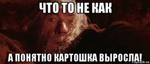 Бегите хлопцы