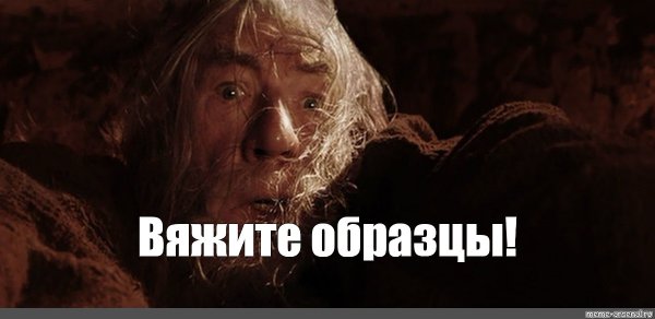 Мем держитесь глупцы