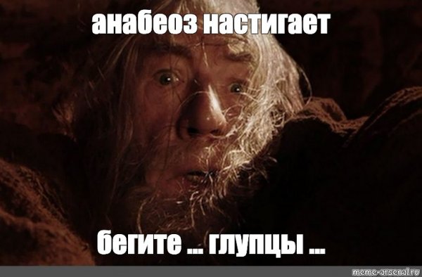 Бегите глупцы
