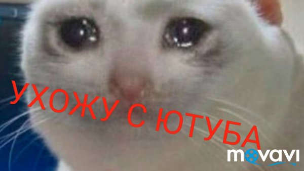 Плачущий кот Мем
