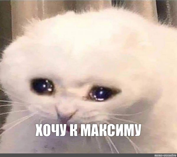 Плачущий котик Мем