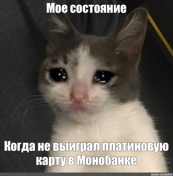 Грабовская Полина
