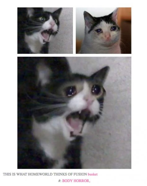Кот орет и плачет