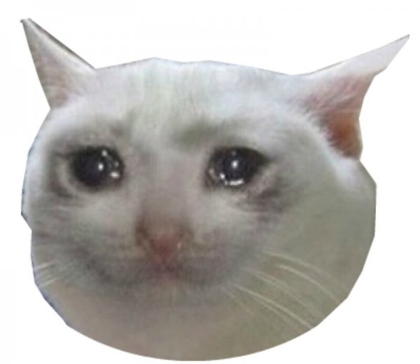 Плачущий кот