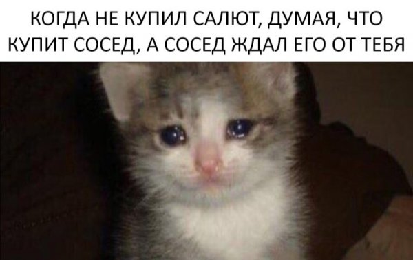 Кот плачет Мем