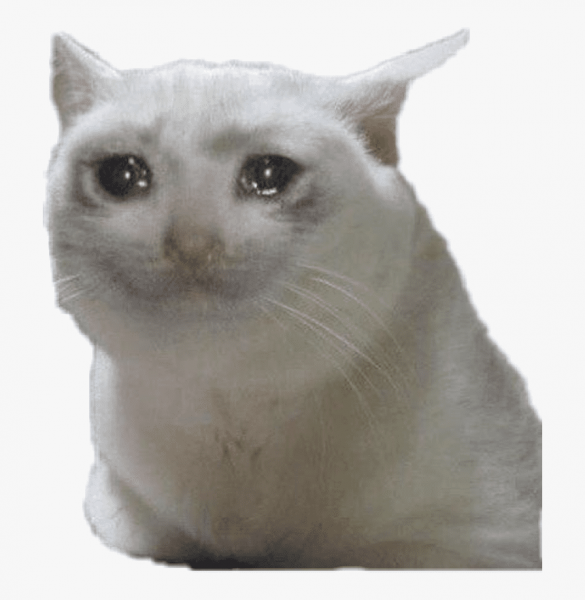 Котик плачет