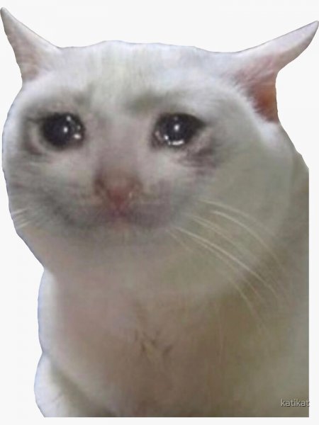 Плачущий котик
