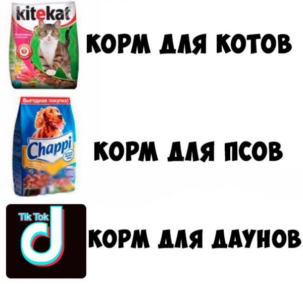 Мемы тик ток